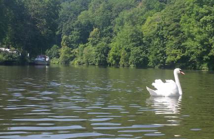 Moderne Fewo in perfekter Lage - Photo 23