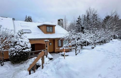 FC17 Stylishly renovated Forest Cottage walk to ski trails wifi cable ping pong AC - Foto 34