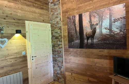 Chalet 10 pers sauna & SPA La tanière des Vosges - Foto 29