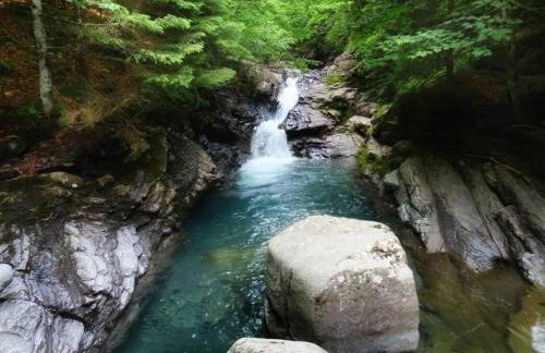 LA CASETTA DELLA NONNA - Photo 66