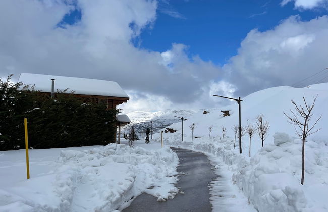 Wood and Stone Chalet - Foto 76