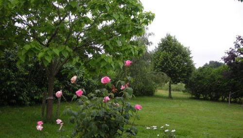 Gîte familial avec jardin, proche d'Argenton-sur-Creuse et sites historiques - FR-1-591-209 - Foto 3