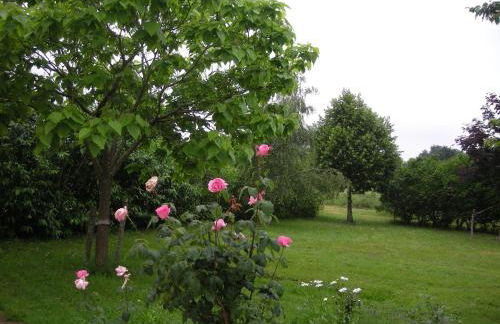 Gîte familial avec jardin, proche d'Argenton-sur-Creuse et sites historiques - FR-1-591-209 - Foto 3