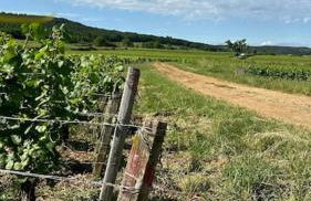 Aux Champs Perdrix - Foto 11