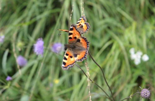 Moderne Wohnung im skandinavischen Stil am Waldrand - Foto 36