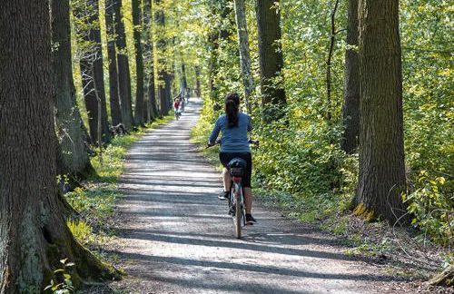 Modernes Ferienhaus nahe Spreewald-Idylle - Foto 35