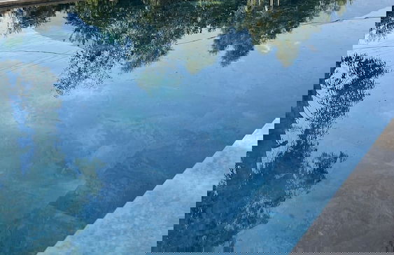 Kalender Suits - Foto 30