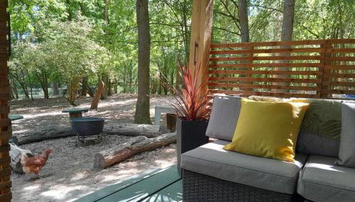 Little Greenwood Shepherd Hut - Sleeps 2 - Foto 3