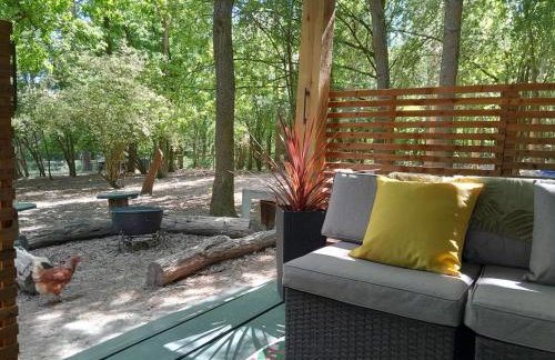 Little Greenwood Shepherd Hut - Sleeps 2 - Foto 3