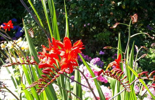 Preisbewusste Ferienwohnung für 2 Personen u. Kleinkind - Photo 30