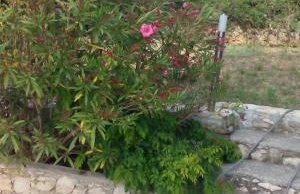 Apartment Tuja - Foto 32