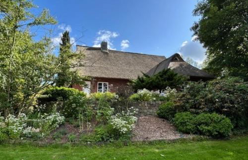 Reetdachhaus direkt am Wasser - Foto 35