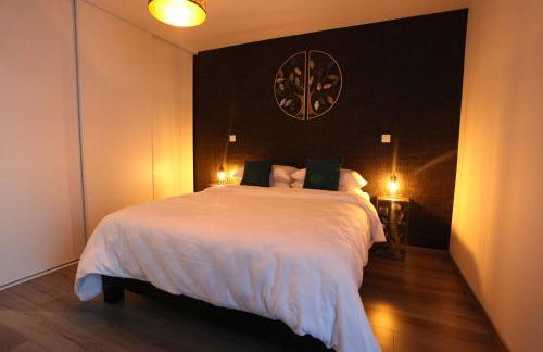 Le Riesling Colmar centre Charmant appartement avec terrasse et parking gratuit - Foto 15