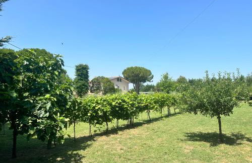 Dimora riviera - Foto 33