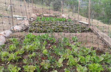 Agriturismo Al Poggetto - Foto 110