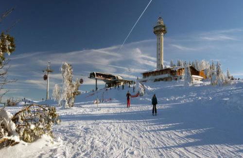 Chalets am Diemelsee in Heringhausen - Foto 24