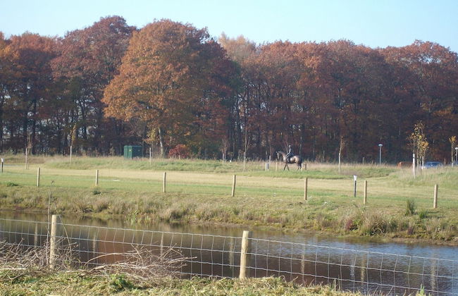 Relaxing Woodland Retreat - Foto 27