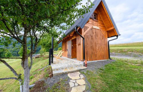 Vila Velika Kuća za odmor - Foto 42