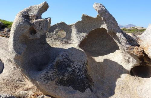 Résidence Saint Cyprien Plage - Foto 106