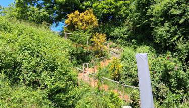 Südpfalznest - Foto 2, Garden