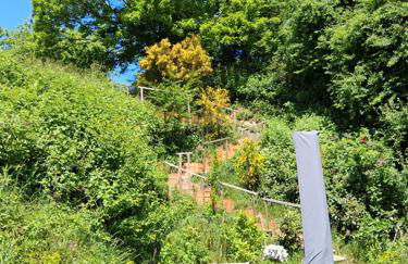 Südpfalznest - Foto 2