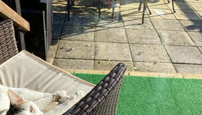 Rew Farm Country & Equestrian Accommodation - Sunrise Lodge - Foto 4