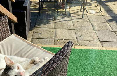 Rew Farm Country & Equestrian Accommodation - Sunrise Lodge - Foto 4