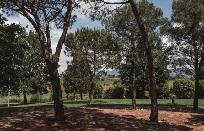 Modern Holiday Home With Pool - Foto 30