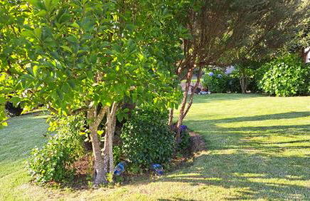 Casa Pinho - Foto 36