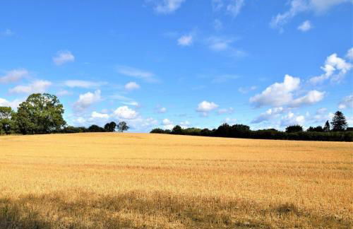 AHOI-MARIE - Foto 27