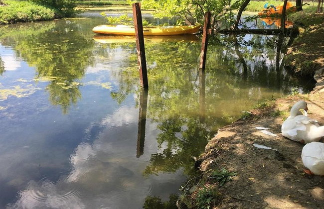 Kerkini Lake - Private Full-Day Tour - Photo 6