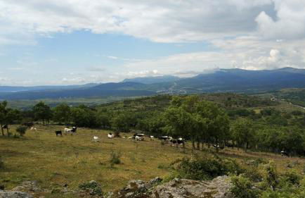 Estrella rural casa rural en la Sierra de Madrid - Foto 23