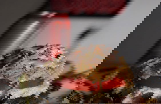 las cabañas - Photo 12