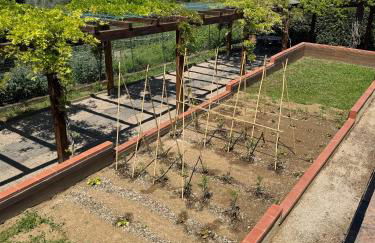 Fattoria Tolomei - Foto 63