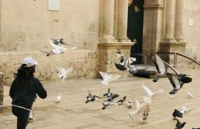 Boutique Apartment by the Sea - Photo 70