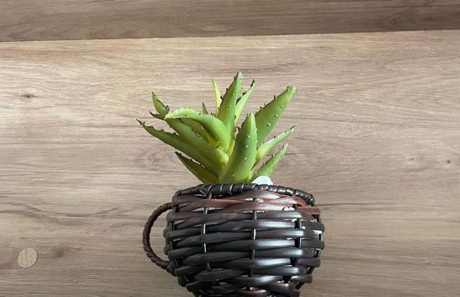 Studio Centro Poços - Tudo a Pe - Foto 30