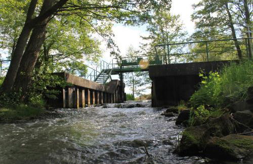 Ferienwohnung im Gutshaus Mühlhof - Foto 18