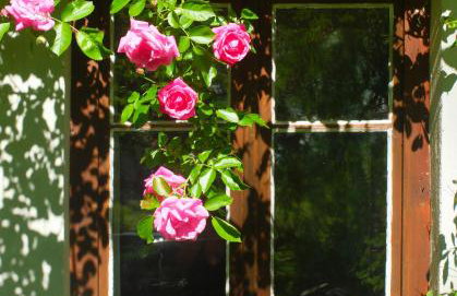 Dom Geologa - Foto 23