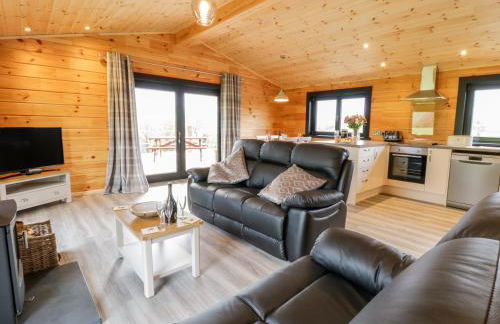 Bryn Eiddon Log Cabin - Photo 8