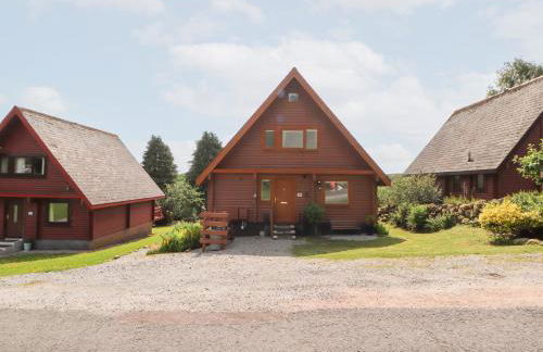 Thistle Dubh "Doo" - Foto 23