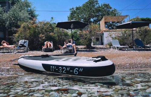 The Artist's Farm - Foto 15