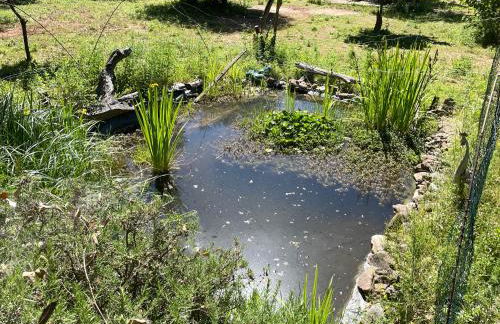 Chalet avec piscine privée dans la forêt - Foto 32