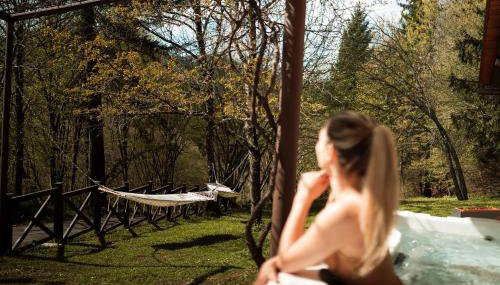 Villa Planica Holiday Home - Foto 4