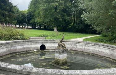 La petite bulle - Foto 11