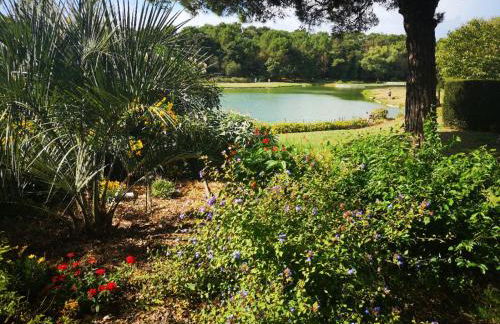 l'orée du lac - Foto 49