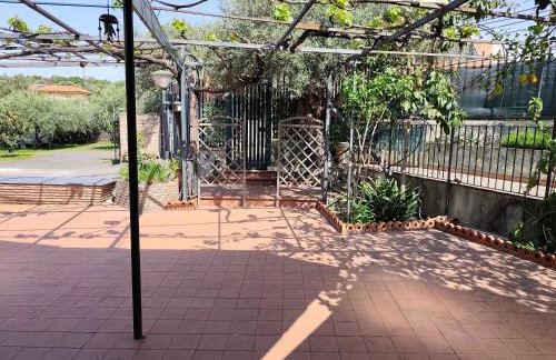 Cottage in the green - Photo 73