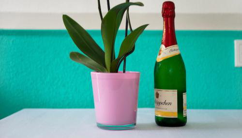 Spawo mit Sauna und Whirpool - Photo 3