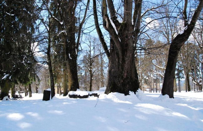 Apartment in Cavalese Near Cermis Ski Slopes - Foto 37