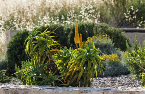 Villa Vito - Photo 28