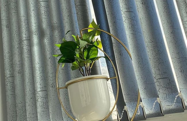 Hodgehill Apartments - Foto 5